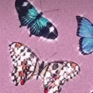 Meet your Posher, Olivia